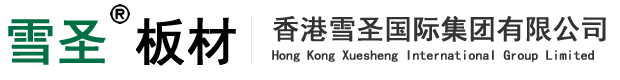 香港雪圣国际集团有限公司